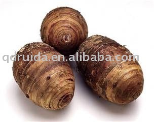 fresh taro