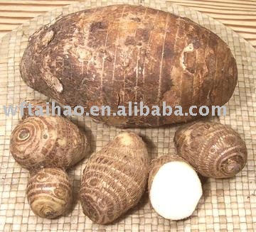 TARO