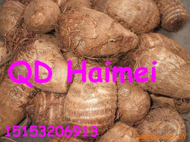2011 chinese fresh Taros