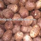 Fresh Taro,china taro