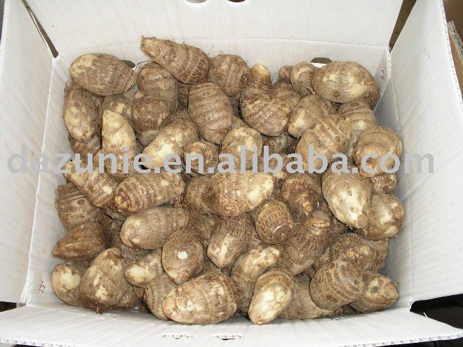 Organic taro