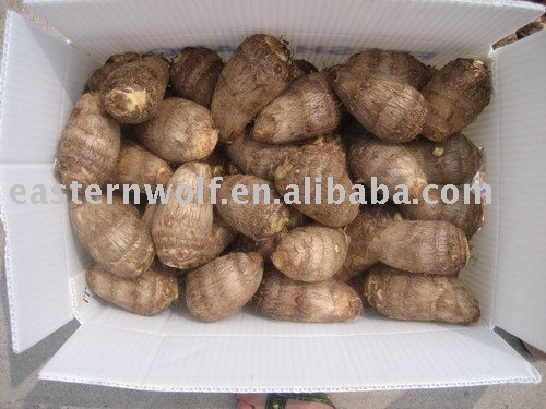 taro