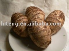 fresh taro