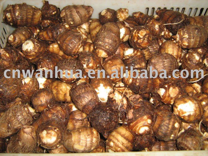 chinese fresh taro