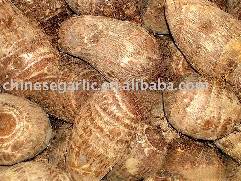 Chinese New  Taro