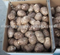 Fresh Taro