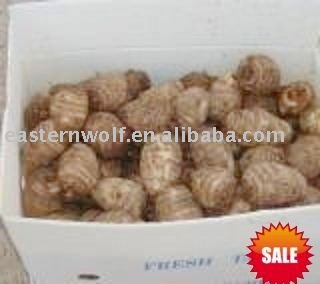Fresh Taro in Plastic Box Package