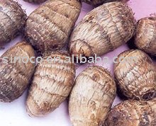 new crop taro