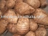 taro
