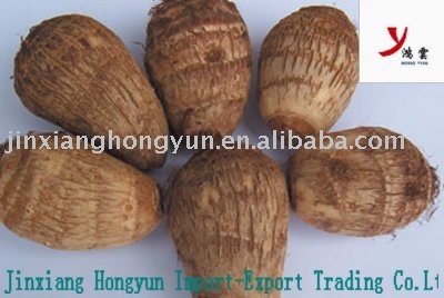 Fresh Taro