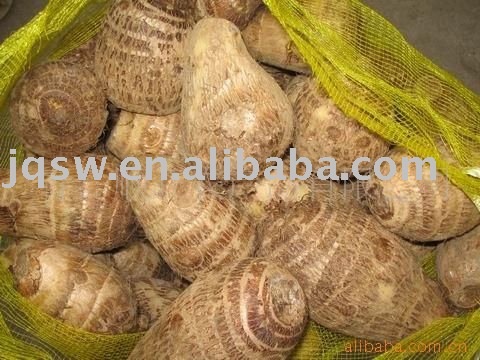 fresh taro
