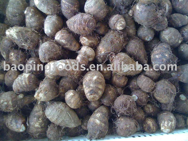 fresh taro