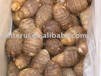 Fresh Taro
