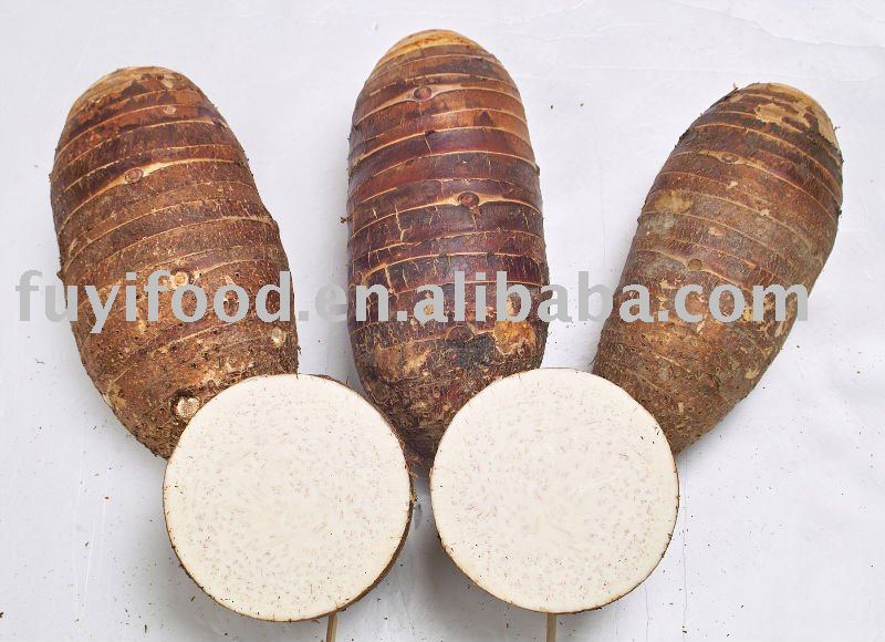 Chinese Taro
