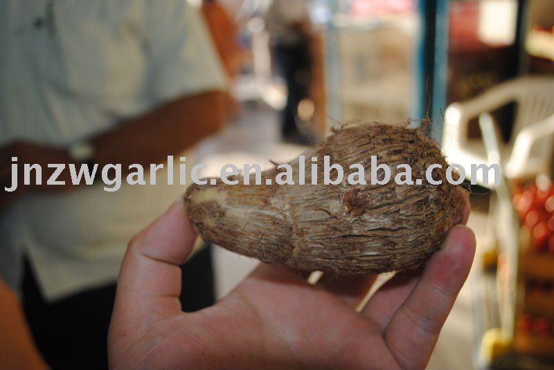 fresh taro