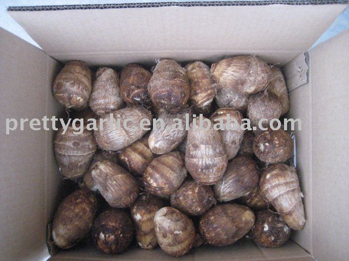 China Fresh Taro