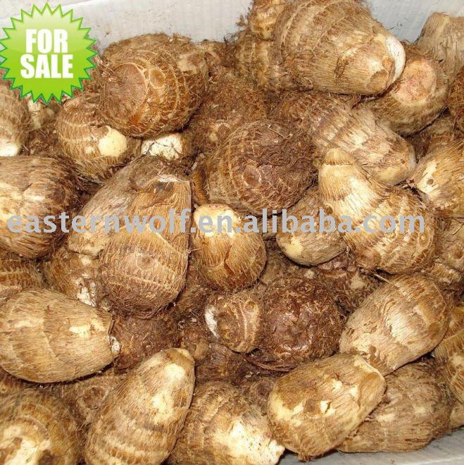 China Fresh Taro in Plastic Box Package
