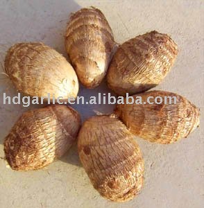 chinese fresh taro
