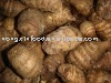 fresh taro