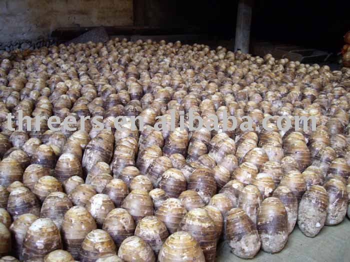 Fresh Taro