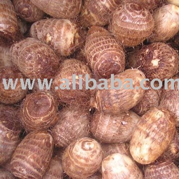 cheap african taro available for sale