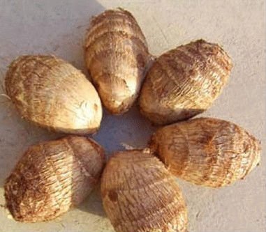 Fresh Taro