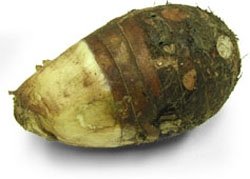  Taro   Root 
