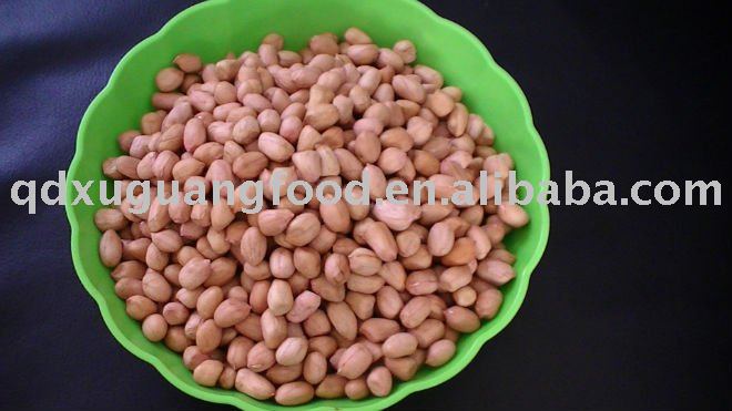 peanut kernels 40 50 peanut fresh grountnut in 2010