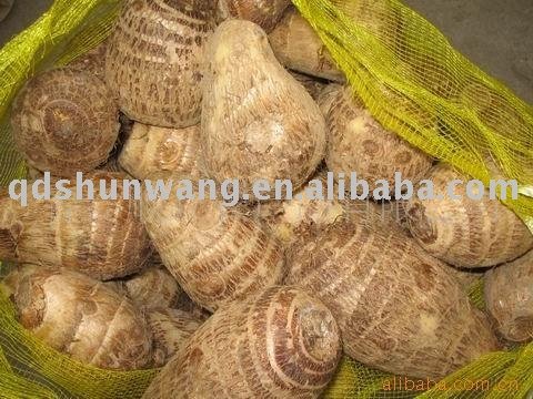 2011 chinese fresh taro root