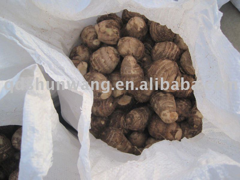 2011 top class chinese fresh taro root
