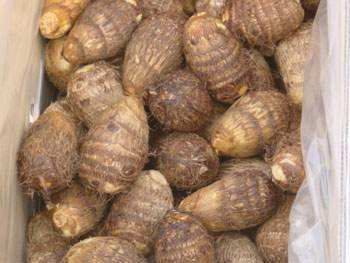 chinese taro