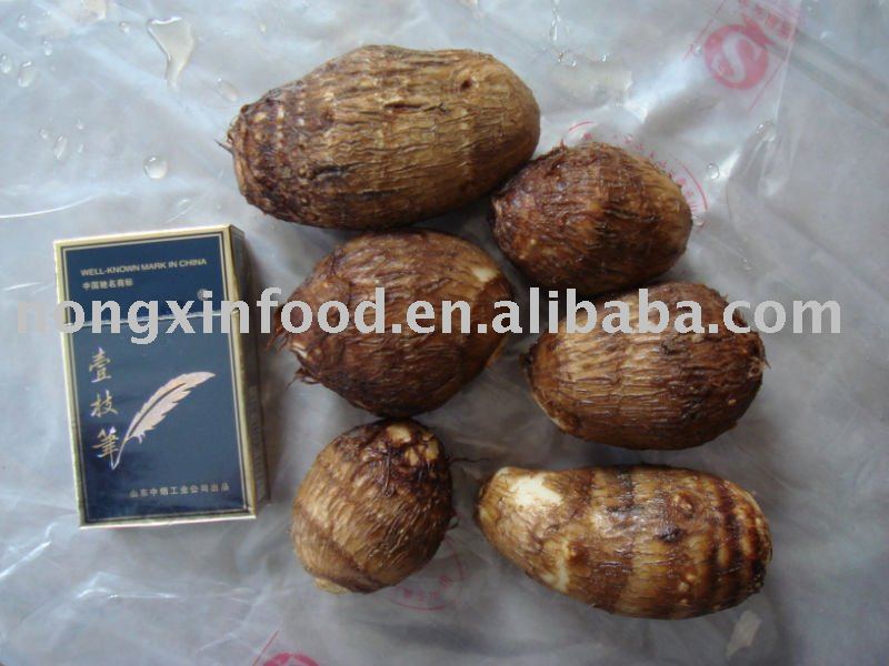 fresh taro root