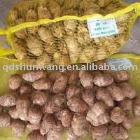 chinese fresh taro(40g-60g+)