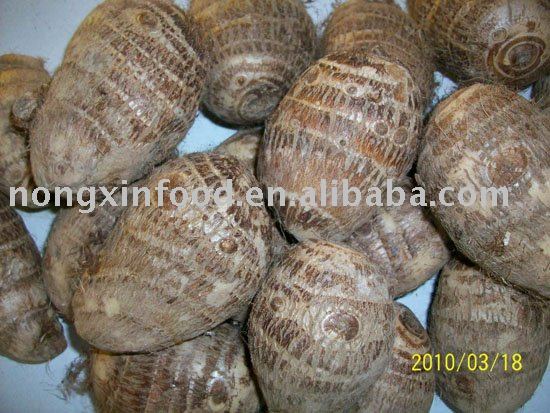 sell 2010 big chinese fresh taro