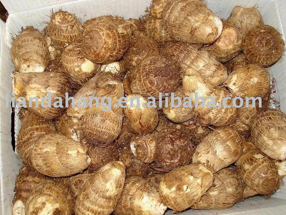 CHINESE Taro