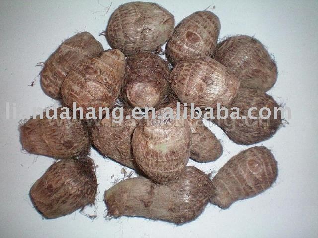 Taro Fresh, China Eddo Roots, Chinese Eddo