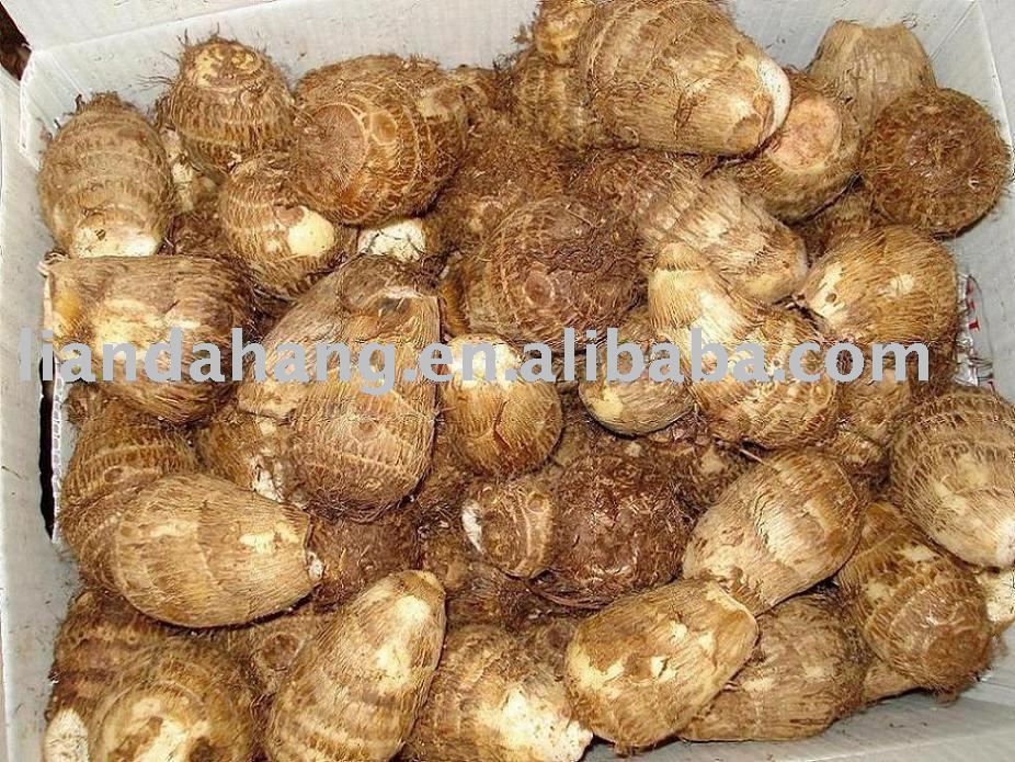 Chinese  Fresh  Taro,  Fresh  Eddo