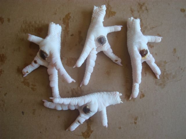 Chicken Paws, wings and and Related Products