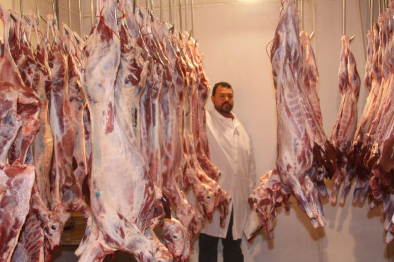 best Halal and Kosher meat zabiha cut in the name of Allah.,Cameroon