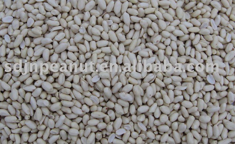 Blanched Peanut 29/33