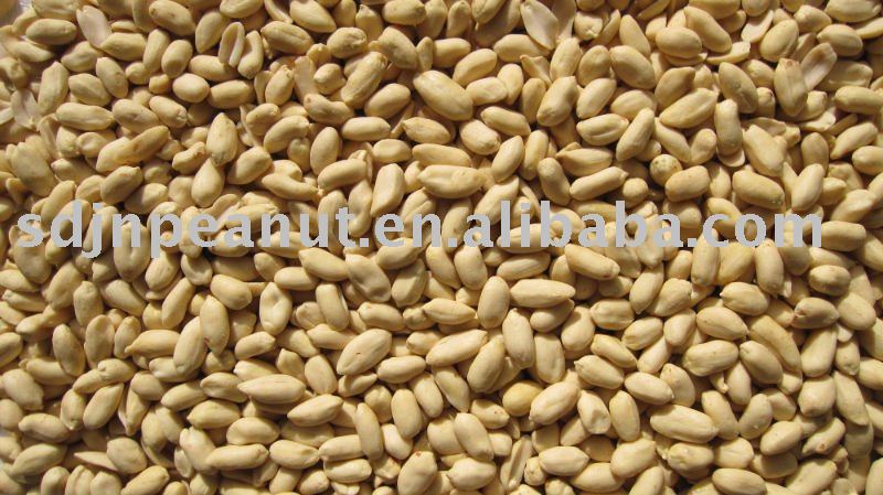 Blanched Peanut  Kernels (Long Shape)
