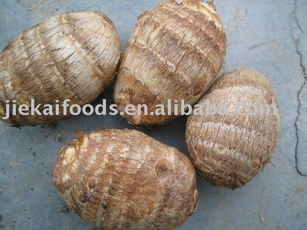 Fresh chinese taro 2011 NEW
