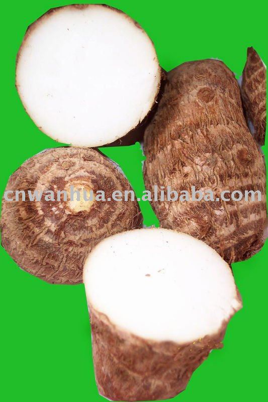  fresh   vegetable     taro 