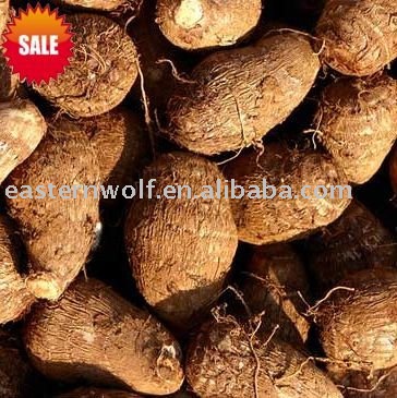 Chinese Fresh Taro, MOQ:1*40 FCL