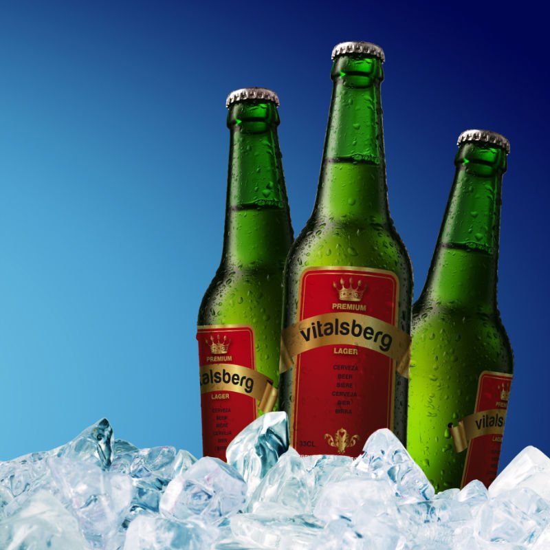VITALSBERG Premium Lager Beer