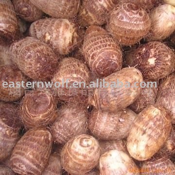  chinese   fresh   taro  in 20kg mesh bag package