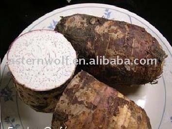 Chinese Fresh Taro in 20KG/Mesh Bag