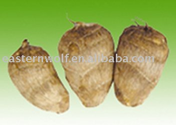 Fresh Small Taro in 20KG/Mesh Bag