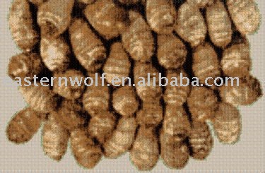 Chinese Fresh Small Taro in 30lbs/plastic box