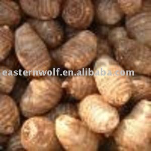 Chinese Fresh Taro in Carton